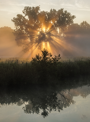 landschap zonneharpen dender
