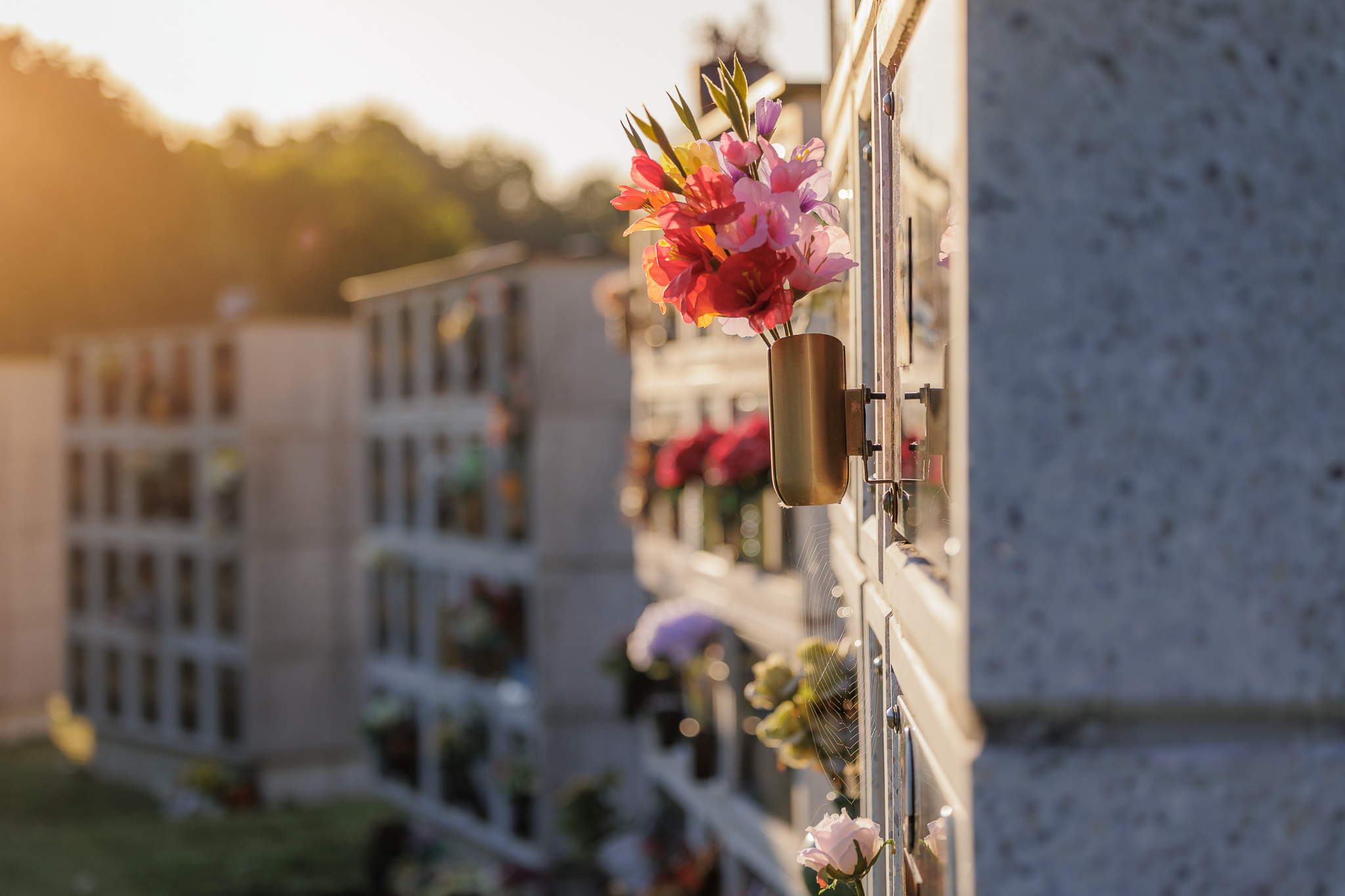 Bloemen op een columbarium in warm ochtendlicht op de begraafplaats Meulewal in Oudenaarde.